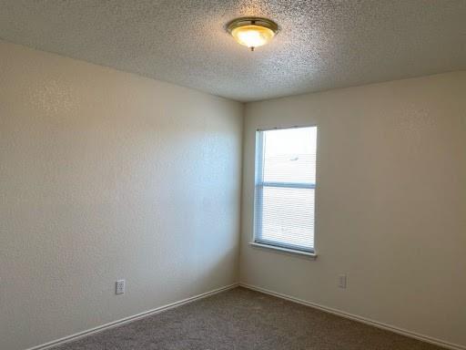 Building Photo - 1101 Mustang Ridge Dr