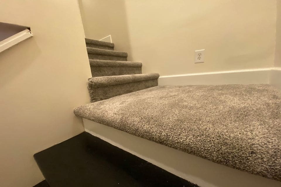 new wall-to-wall carpet - 159 Woodlawn Ave