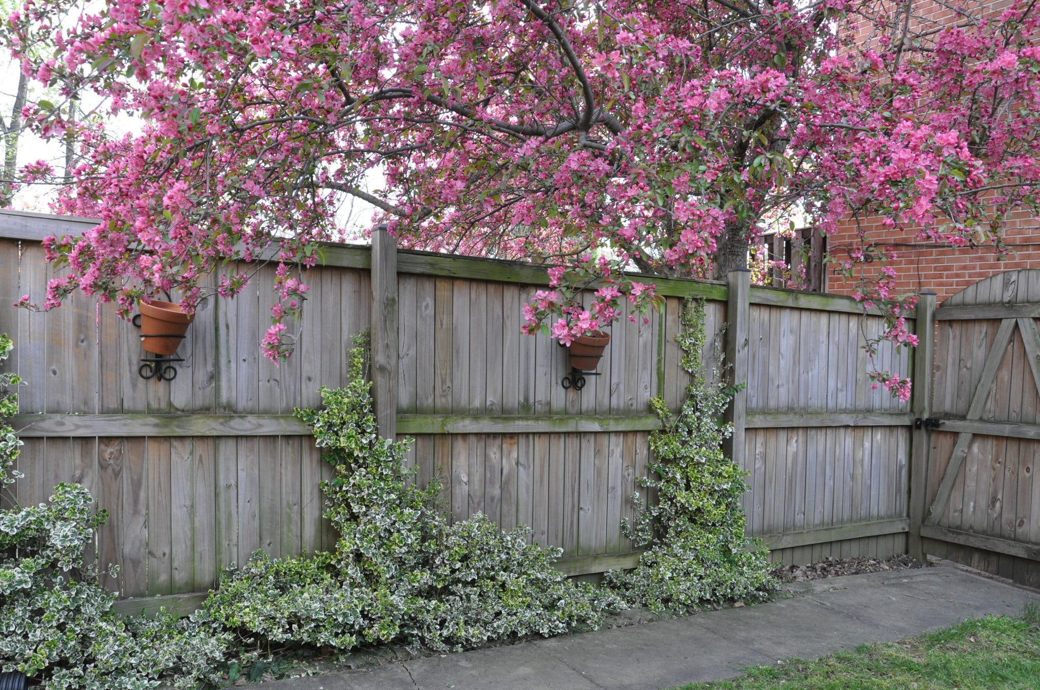 Building Photo - 24 N Wolfe St