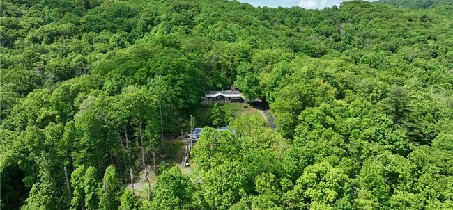 far out drone shot. Only woods around! - 511 Leon Coffey Rd