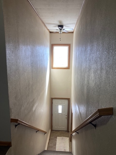 Entrance Stairway - 2414 W 10th St