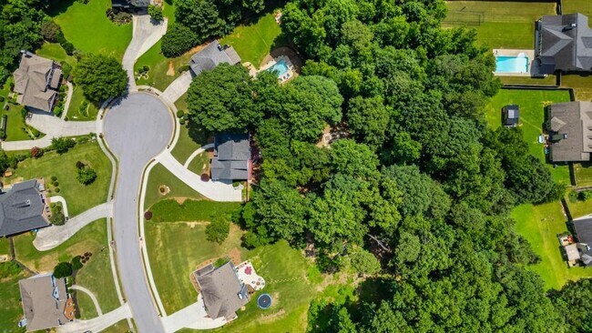 Building Photo - 3687 Vine Spgs