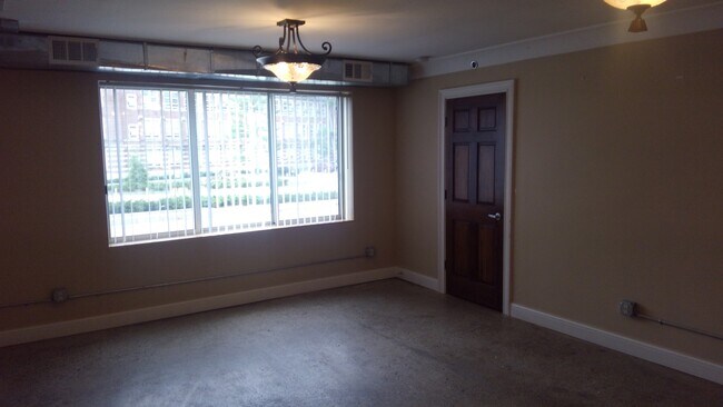 View of Michigan State over looking Grand River Ave - 547 E Grand River Ave