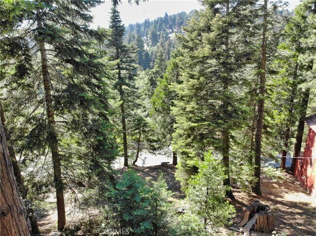 Building Photo - 31644 Christmas Tree Ln