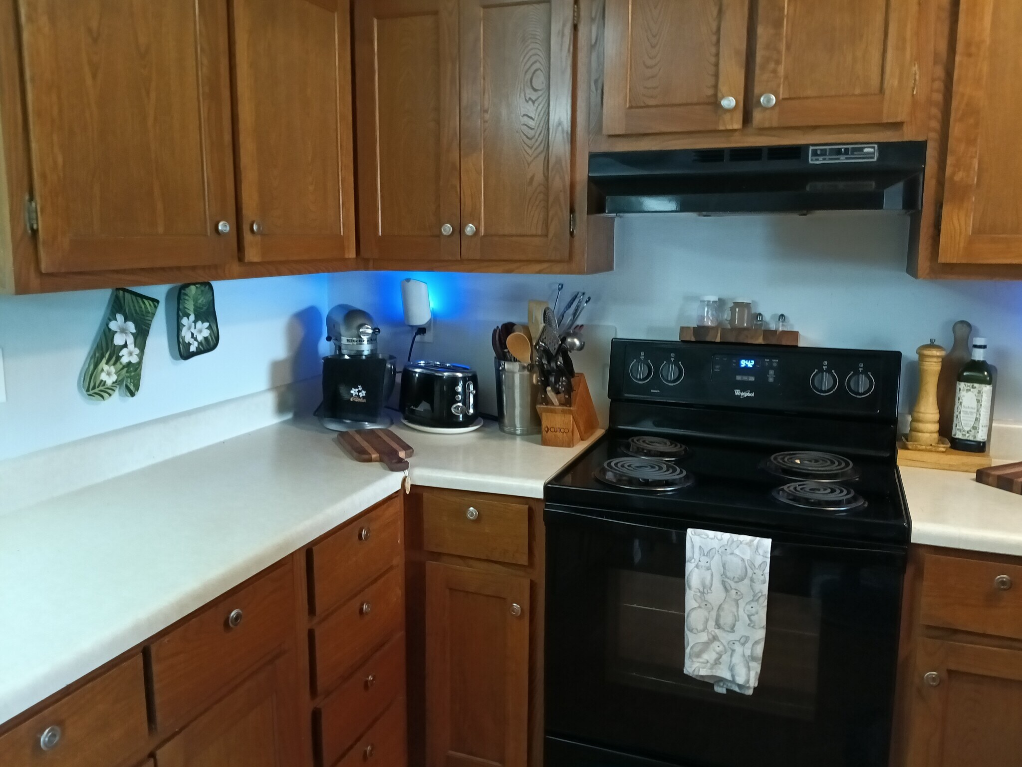 Electric stove - 83 Monongahela Dr
