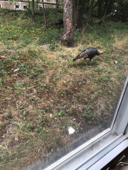 Building Photo - 12 Logan St