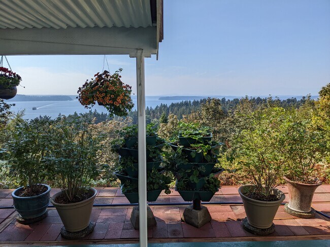 Between the two raised beds are 4 blueberry bushes and 40 strawberry plants. - 8261 Northrop Plz SW