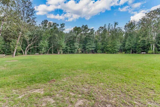 Building Photo - 4423 White Cedar Ct