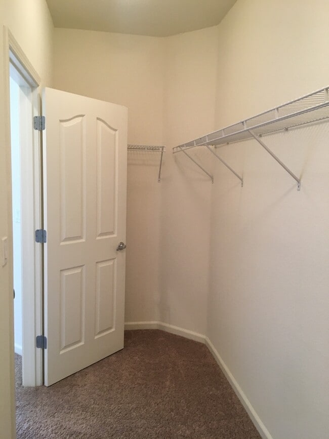 Building Photo - COMING SOON! Single Story 4 Bed in Curti R...