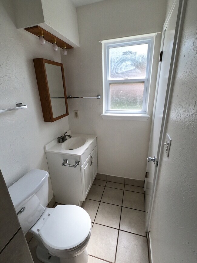 Primary bathroom view from shower - 415 W Guthrie St