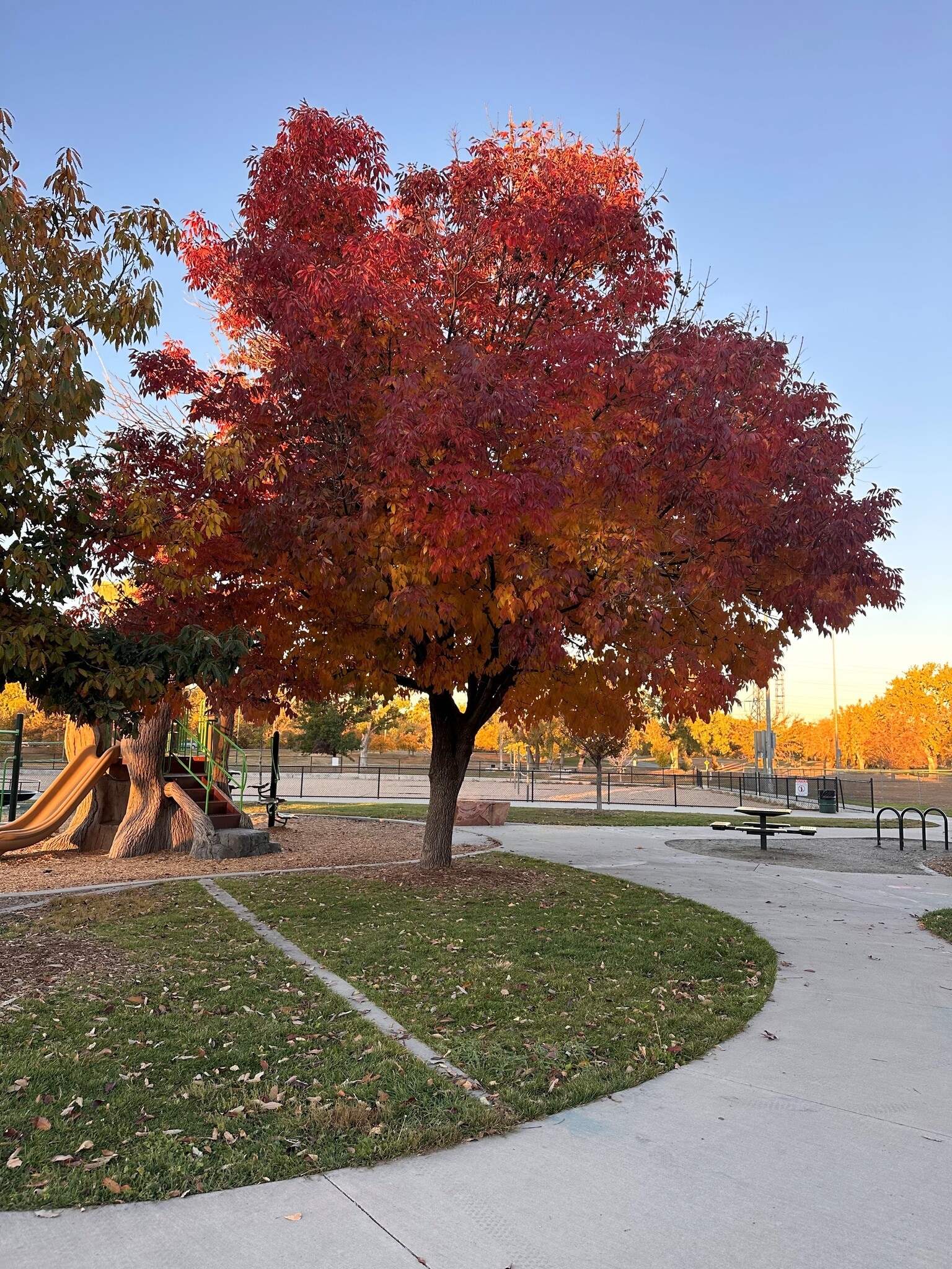 Autumn in Garland Park - 1226 S Monaco Pky