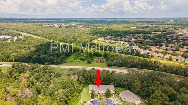 Building Photo - 15706 Fishhawk Falls Dr