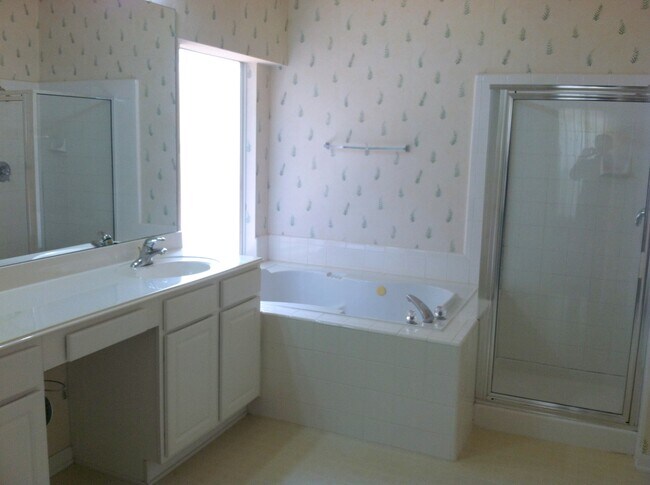 Master bathroom - 6206 Salcon Cliff Dr