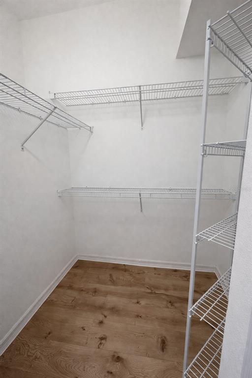 Building Photo - 927 Shadowmoss Dr