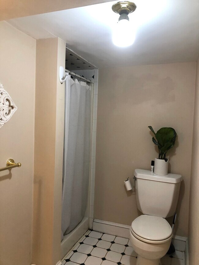 toilet/shower area - 40 Sumner St