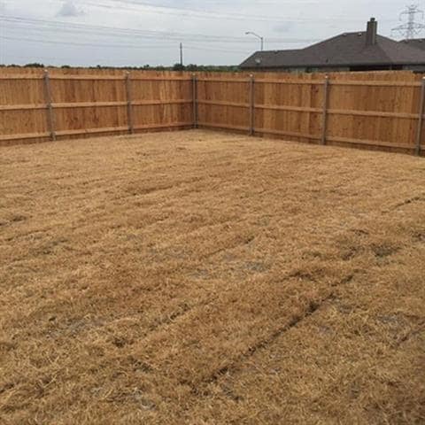 Building Photo - 4200 Summersweet Ln