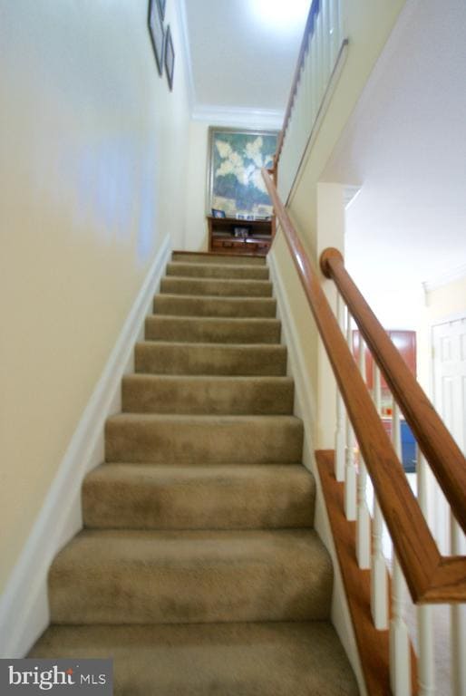 Building Photo - 104 Eastside Ln