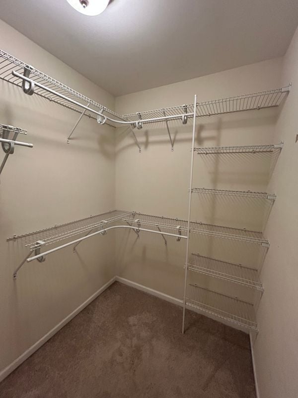 Building Photo - 224 Jackstay Ct