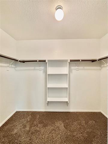 Building Photo - 617 Saguaro Dr