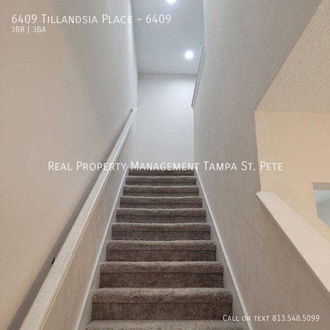 Building Photo - 6409 Tillandsia Pl