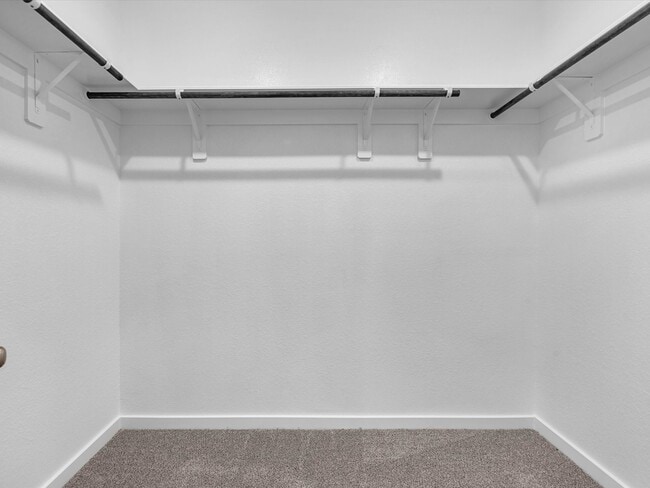 Building Photo - 1749 Succotash Oak Ct