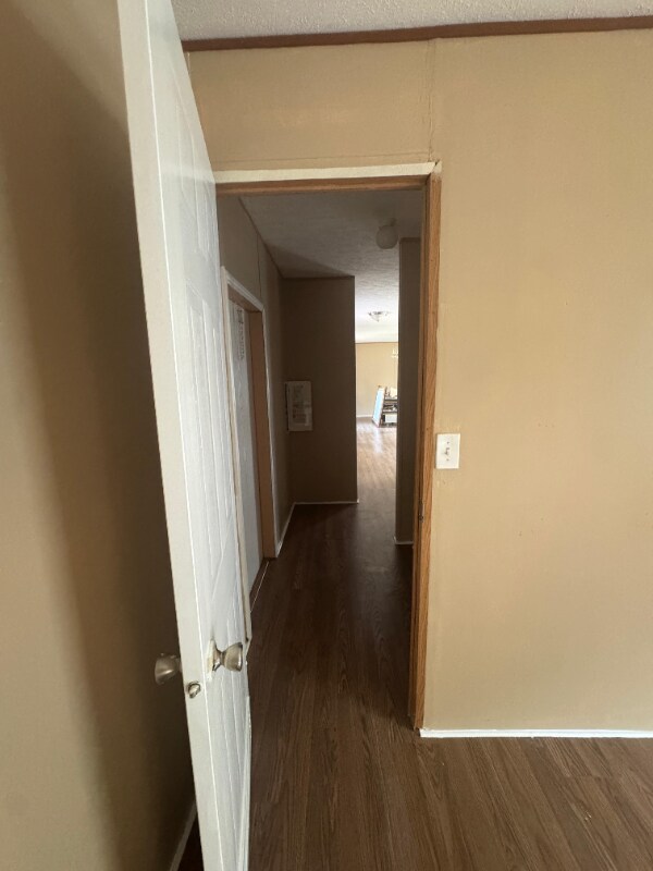Building Photo - 6901 Mangrove Dr