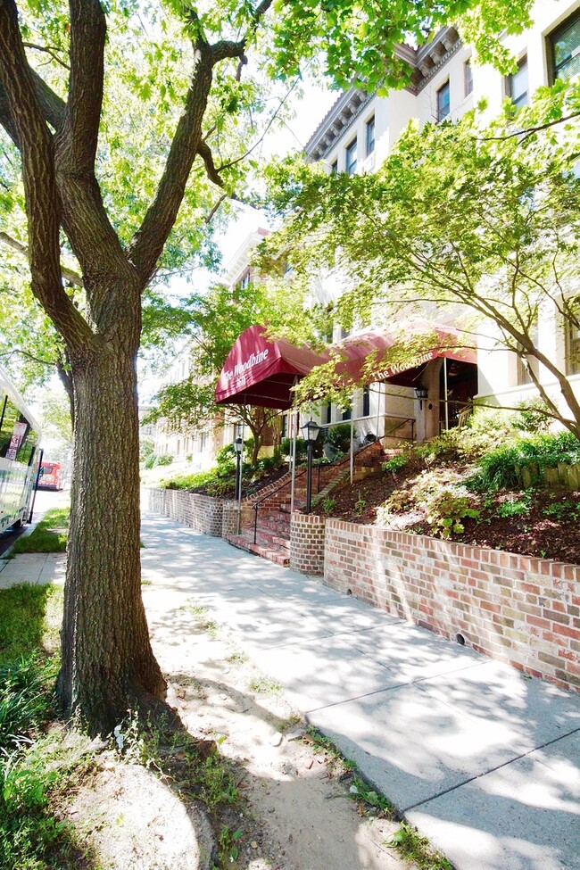 Building Photo - Sun-filled 1BR Condo in Cleveland Park