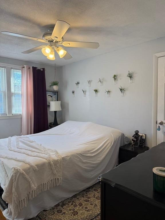 Building Photo - 5 Fred St