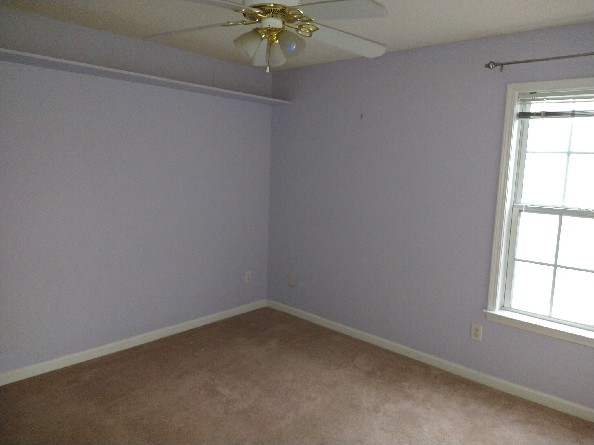 Building Photo - 715 Soneley Ct