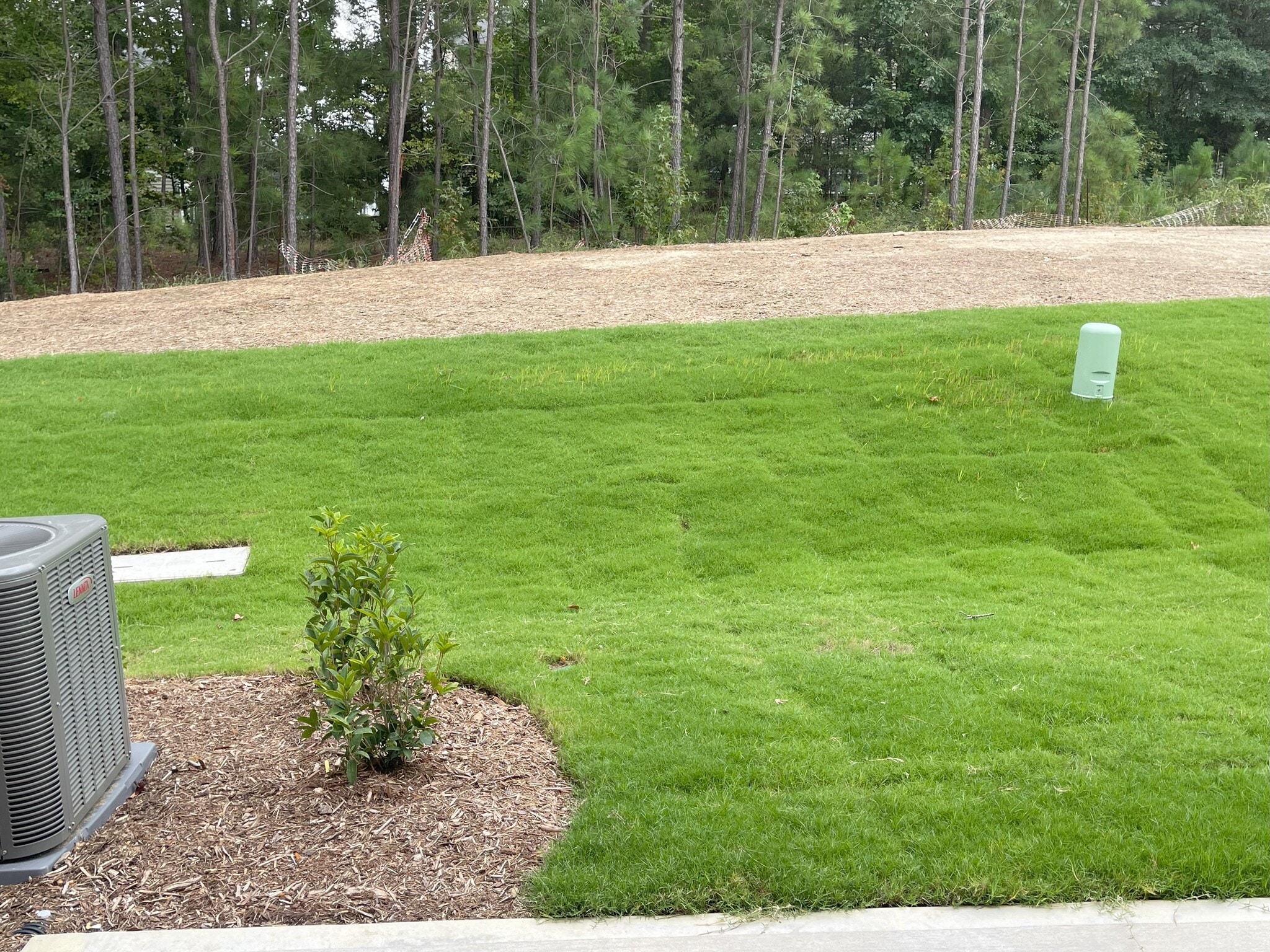 Building Photo - 6304 Lady Eliza Ln