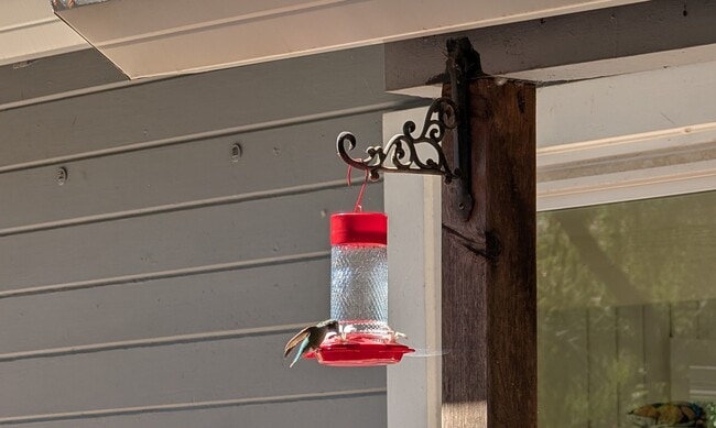 Building Photo - 460 Condor Ave