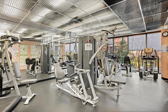 Gym. - 50 E Hartsdale Ave