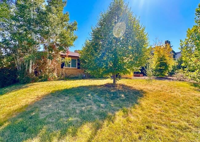 Primary Photo - Spacious Home in the heart of Denver's cov...