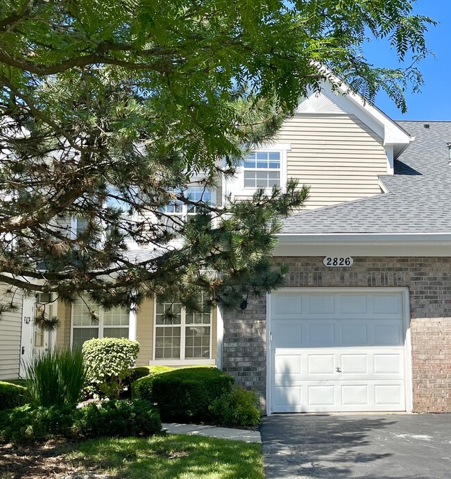 Building Photo - 2826 Powell Ct