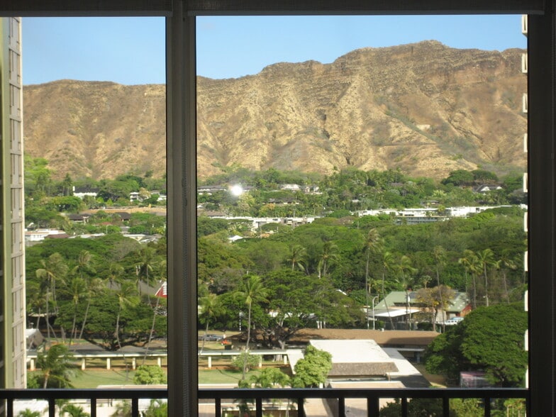 View from living room - 201 Ohua Ave