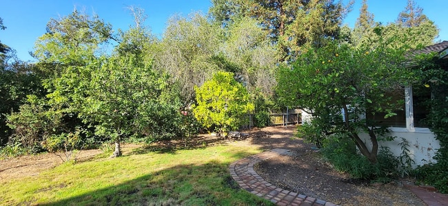 Building Photo - 4088 Laguna Way
