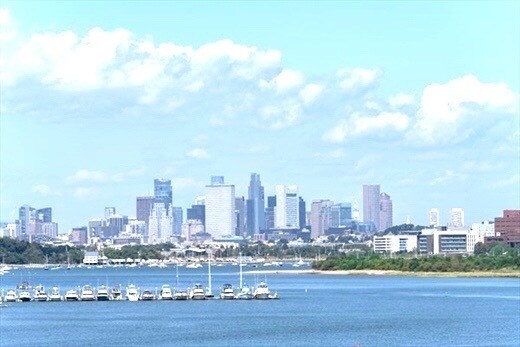 Building Photo - 133 Commander Shea Blvd