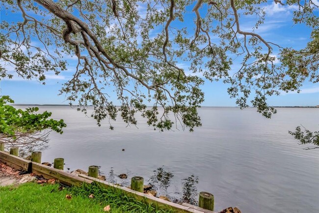 Building Photo - 6220 Bayshore Blvd