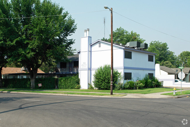 Primary Photo - The Acacia