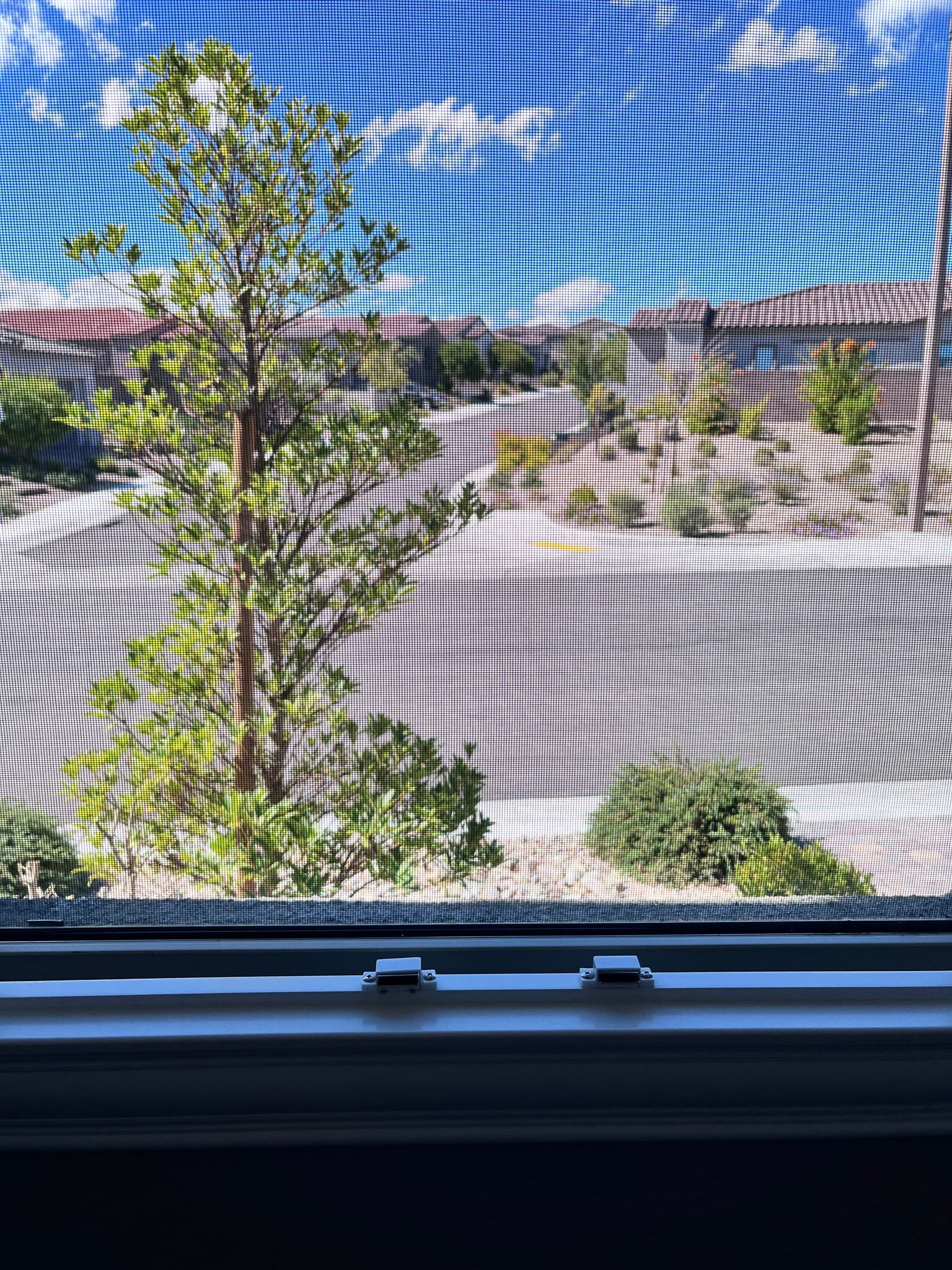 View out closet window - 118 Nine Mile Creek Dr