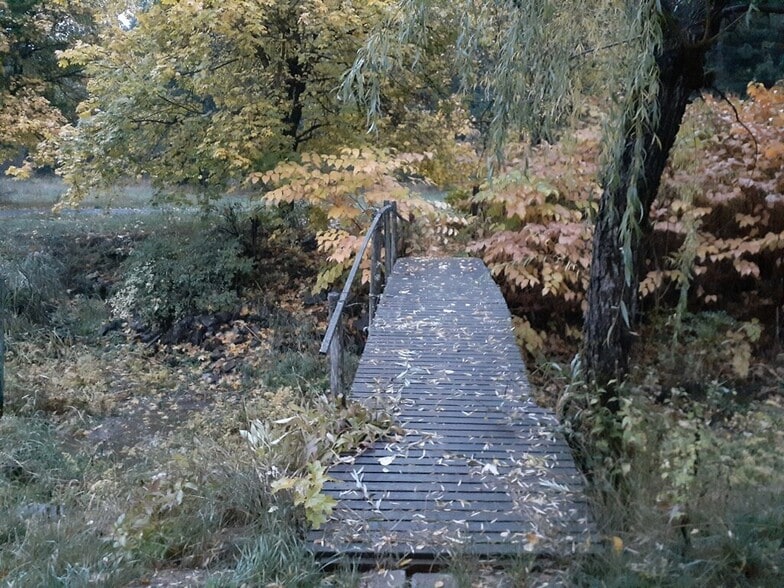 Building Photo - 19804 S Latour Creek Rd