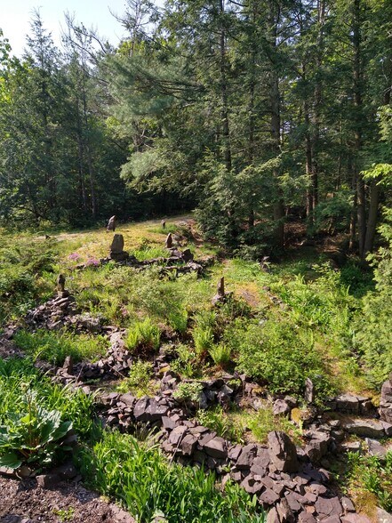 Backyard - 178 E Redrock Dr
