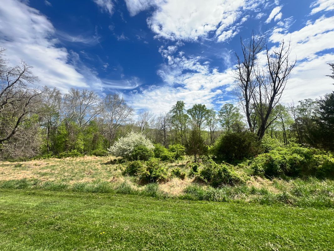 Building Photo - 516 Meadow Hall Dr