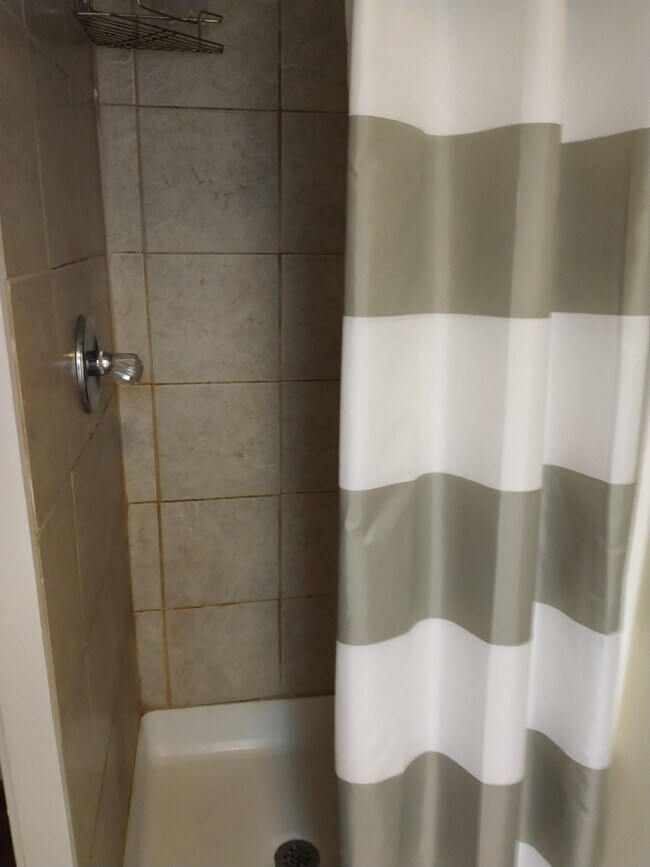 shower - 34 Morris St