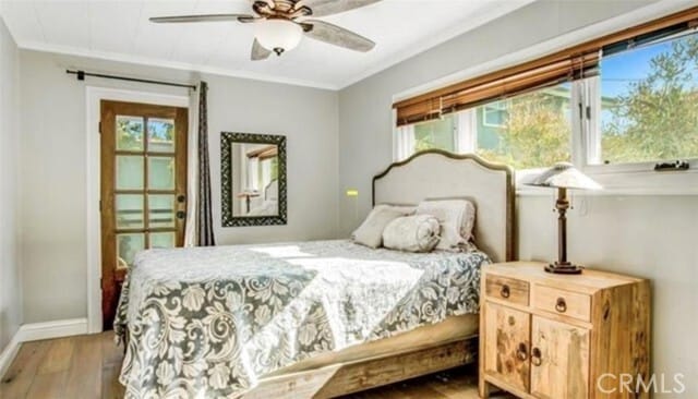 Building Photo - 329 S Grand St