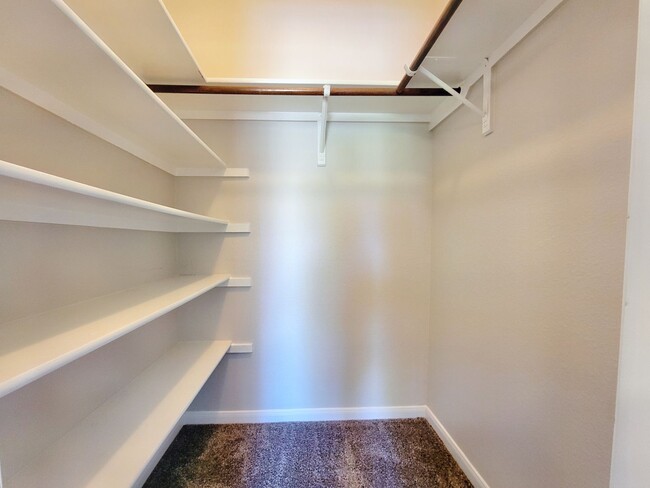 Building Photo - Beautiful Single Family - 4/BR 2.5/BA