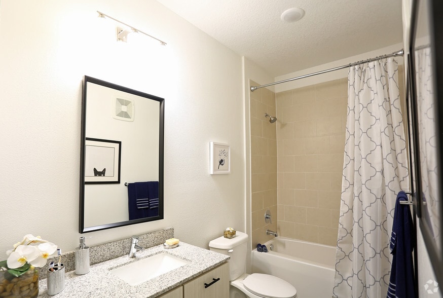 Interior Photo - Sole at Brandon