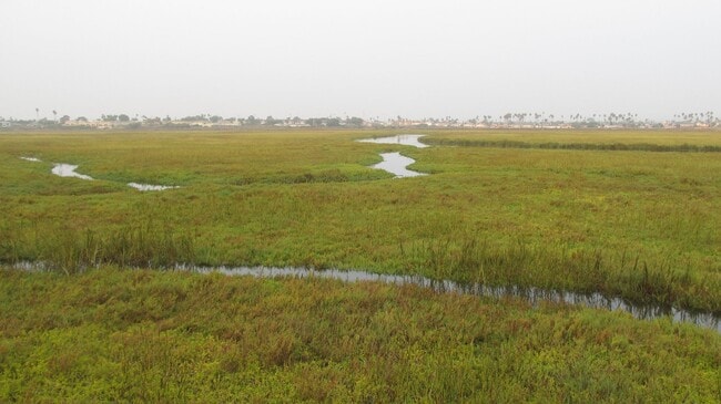 Building Photo - FOR SALE/ OCEAN FRONT/ $825K