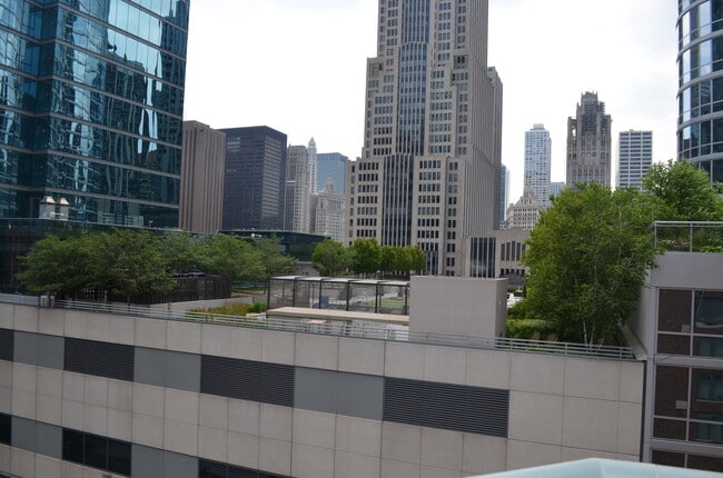 Building Photo - 480 N McClurg Ct
