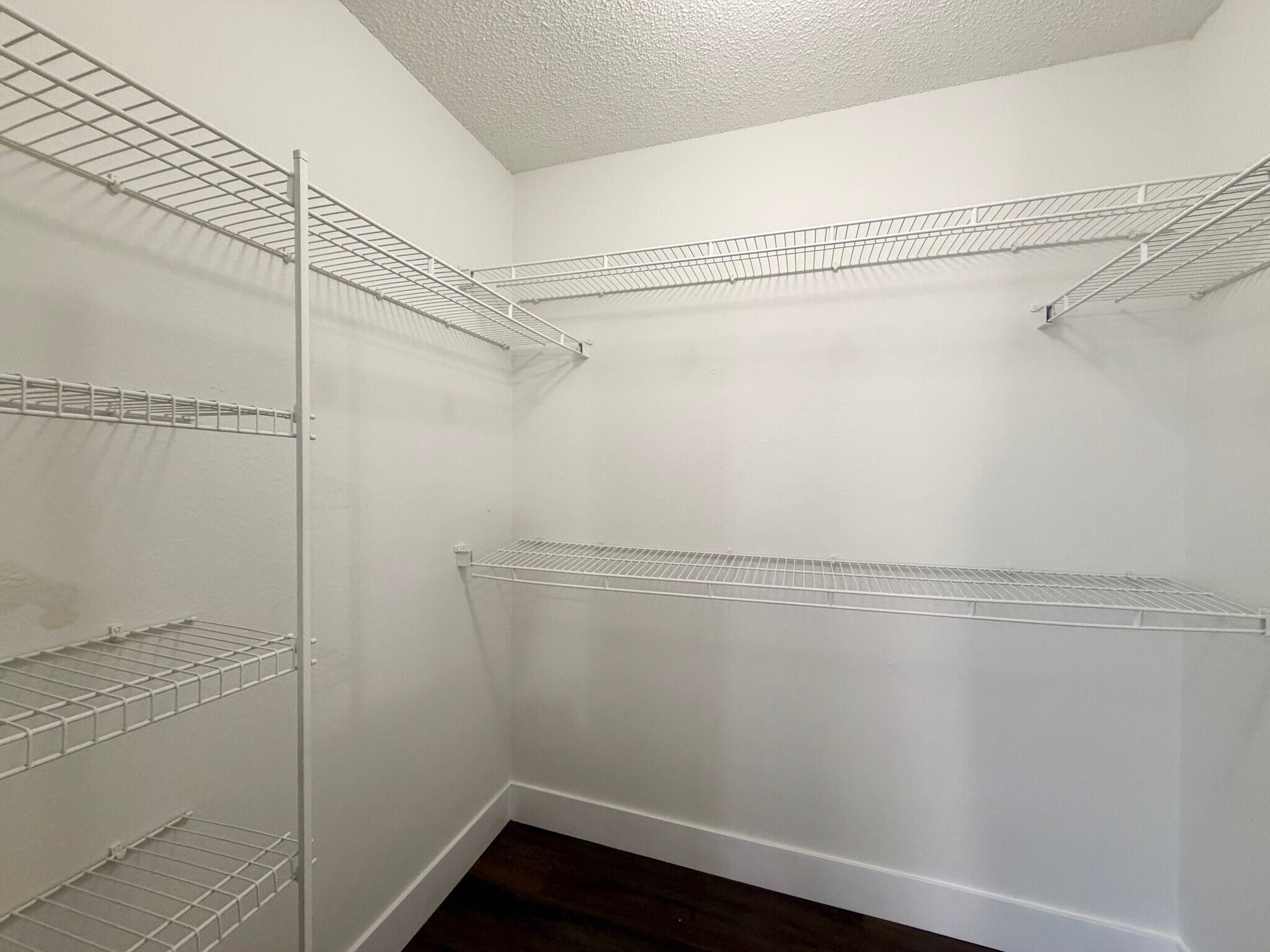 Building Photo - 47 Sawfish Ct